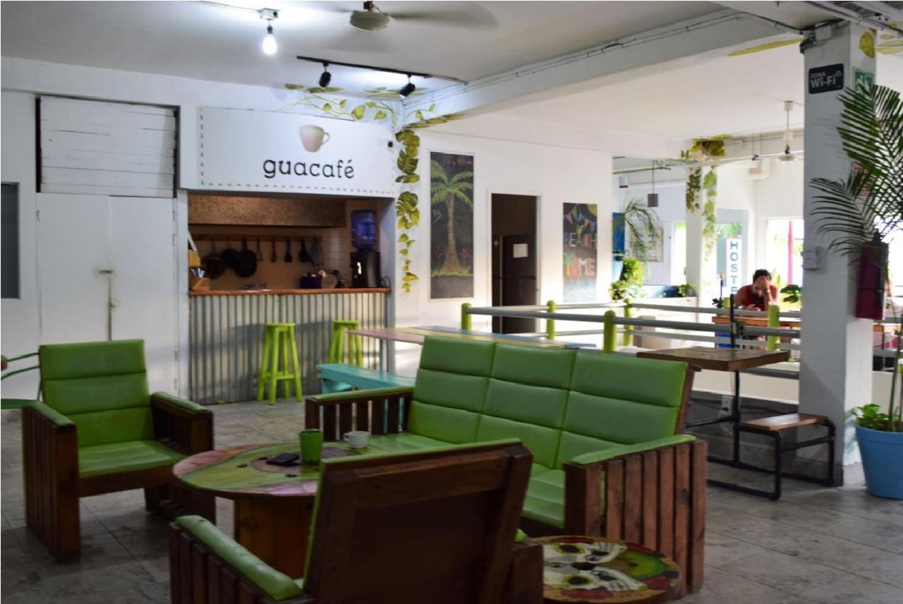 Guacamundo 5th. Ave Hostal Playa del Carmen