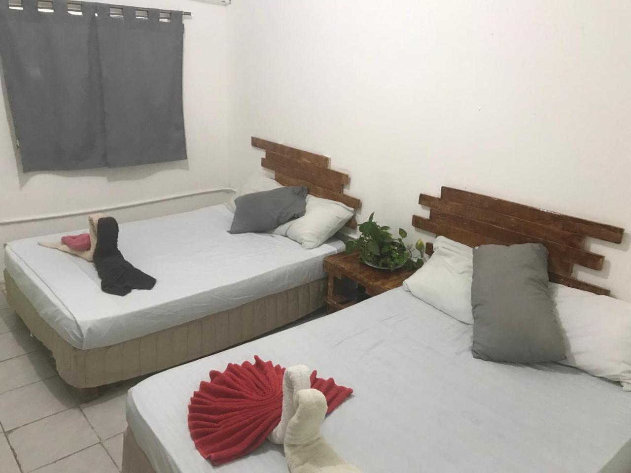 Hostal Guacamundo 5th. Ave *