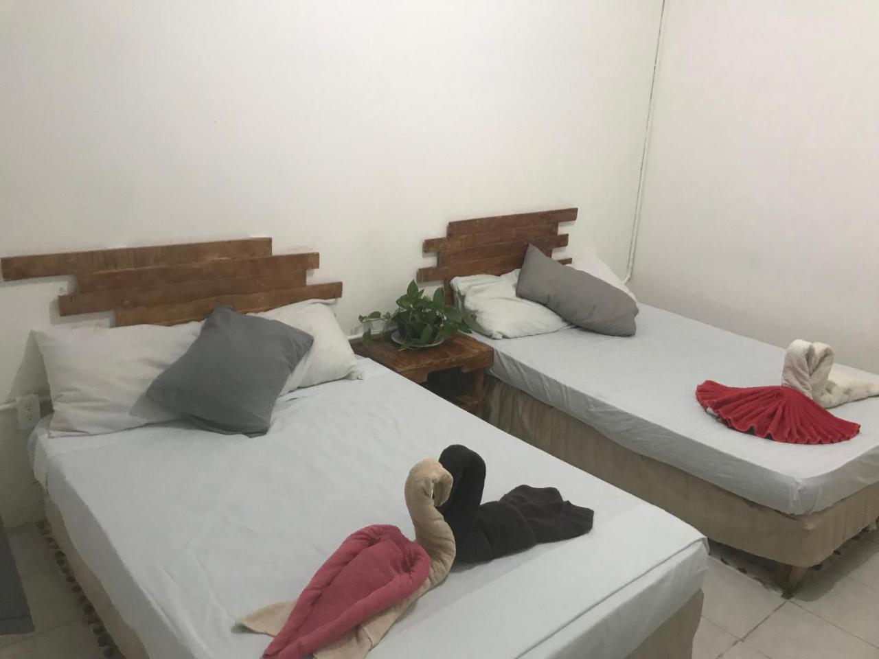 Guacamundo 5th. Ave Hostal *