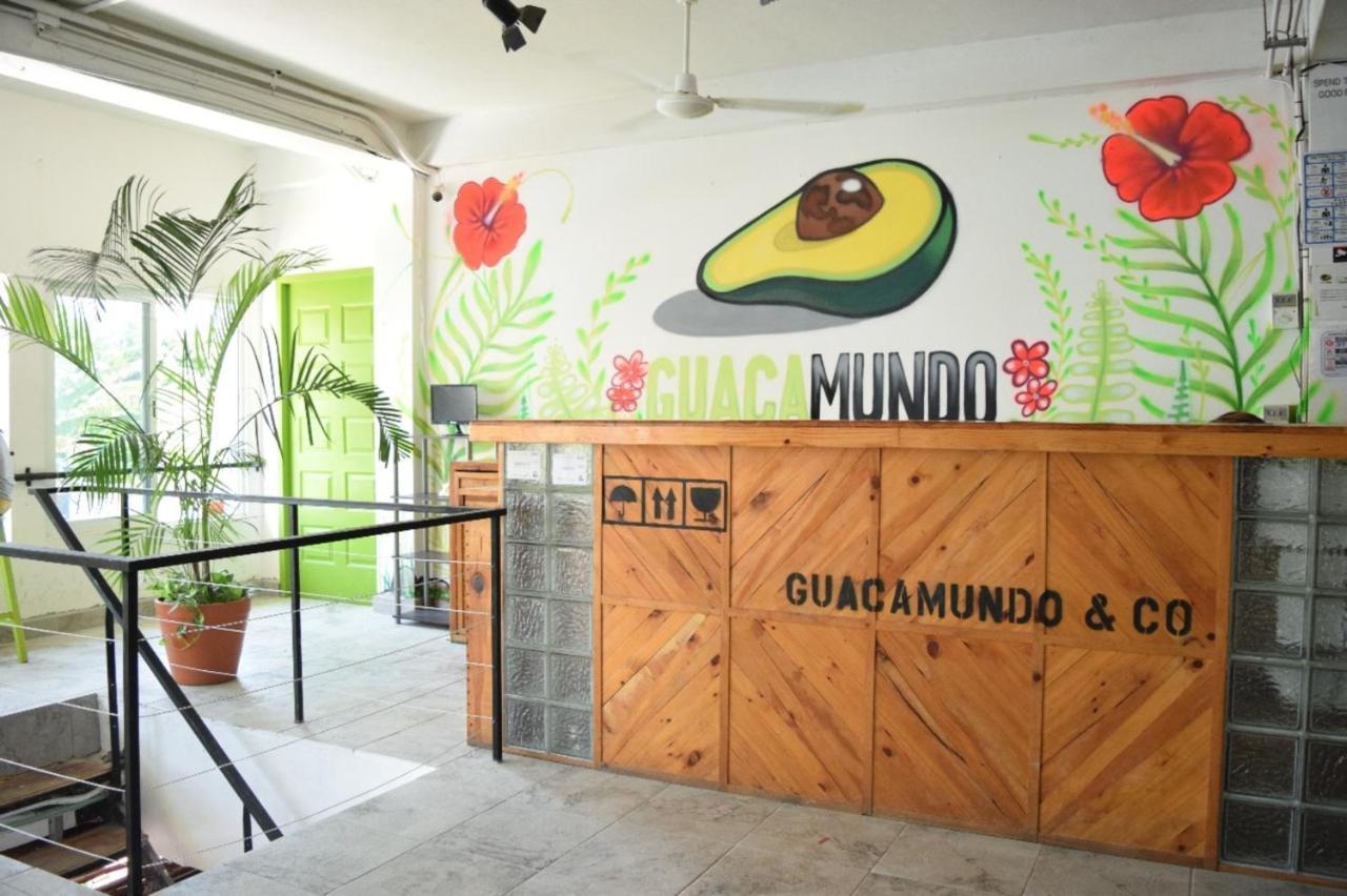 Hostal Guacamundo 5th. Ave